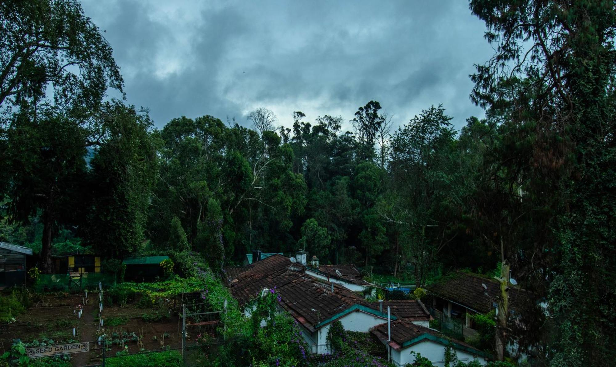 Treebo Kodai Kings Park, 650 M From Kodai Lake Кодайканал Екстер'єр фото